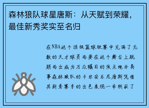 森林狼队球星唐斯：从天赋到荣耀，最佳新秀奖实至名归