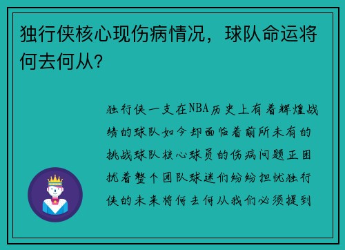 独行侠核心现伤病情况，球队命运将何去何从？